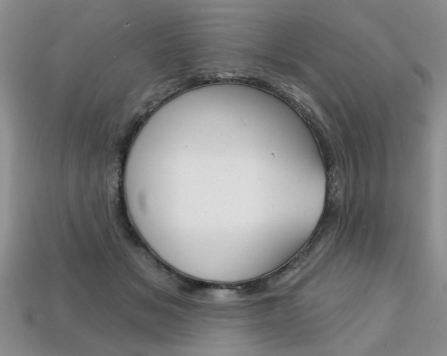 X0000113860509200909241028