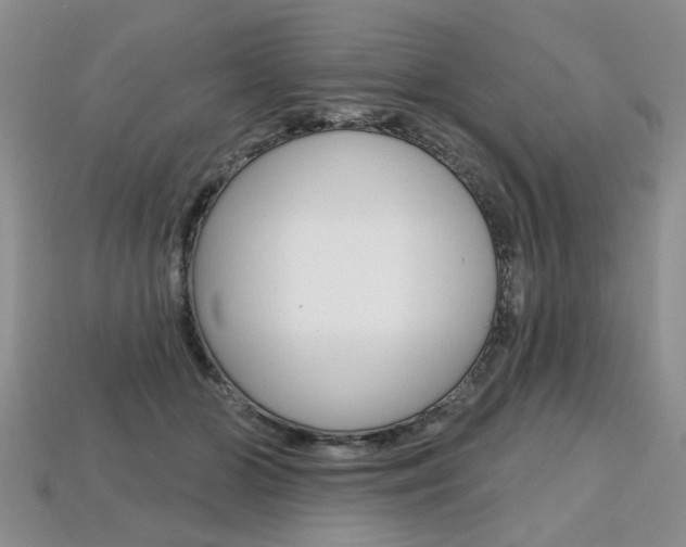 X0000113860510200909241028