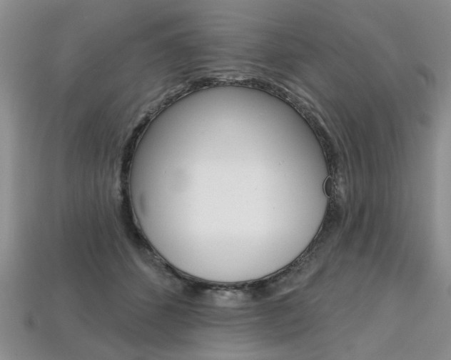 X0000113860512200909241028