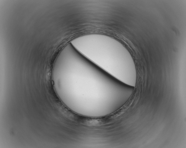 X0000113860513200909241028