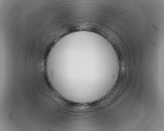 X0000113860514200909241028