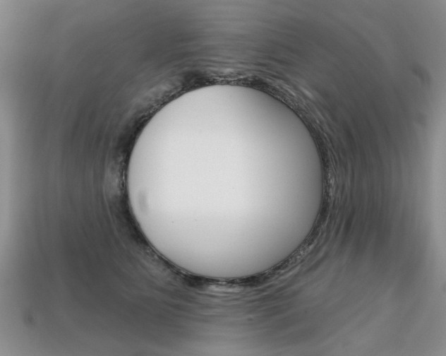X0000113860515200909241028