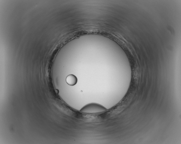 X0000113860516200909241028