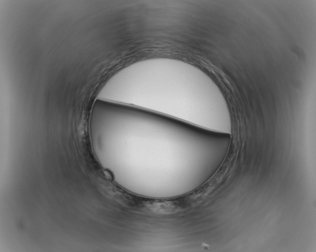 X0000113860517200909241028