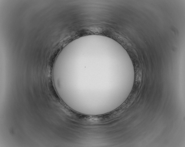 X0000113860518200909241028