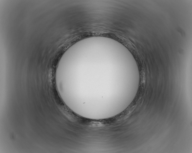 X0000113860519200909241028