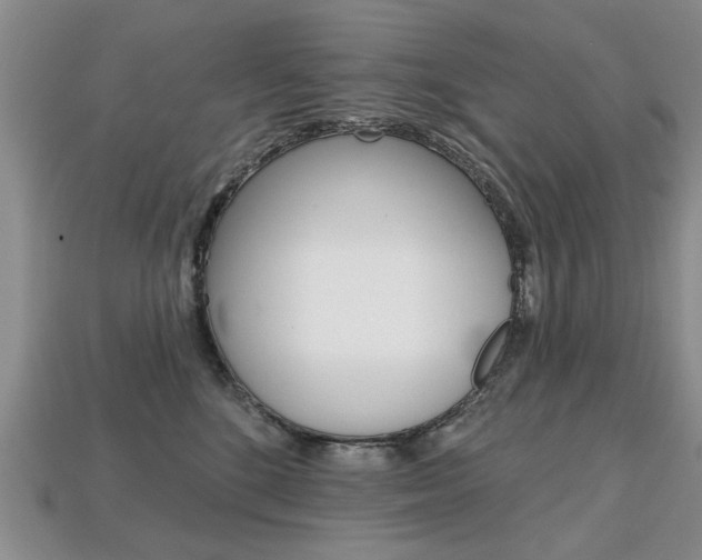 X0000113860520200909241028