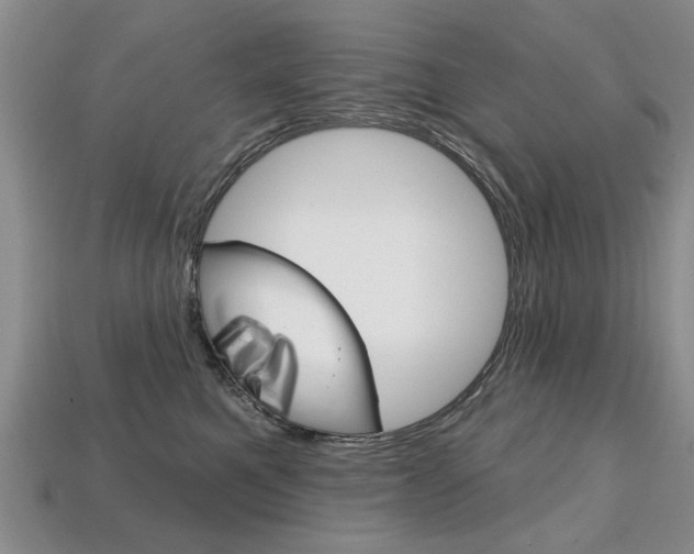 X0000113860521200909241028