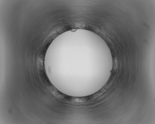 X0000113860522200909241028