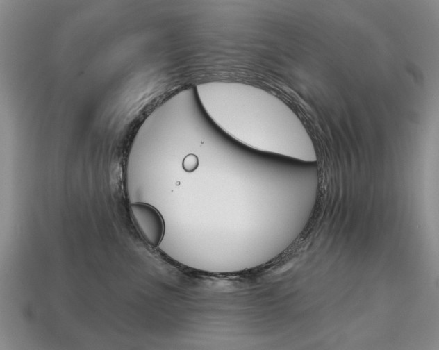 X0000113860523200909241028