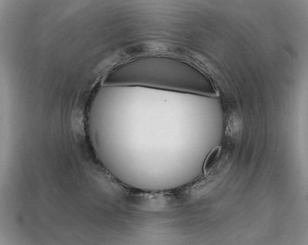 X0000113860524200909241028