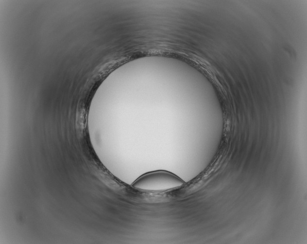 X0000113860525200909241028