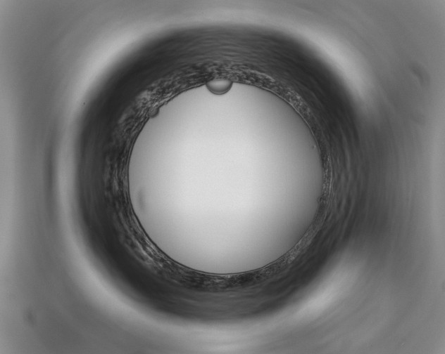 X0000113860527200909241028