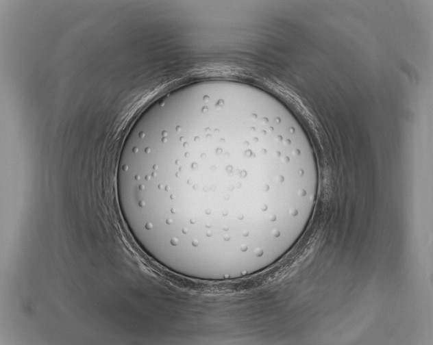 X0000113860529200909241027