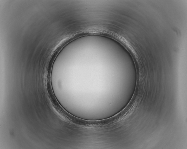 X0000113860530200909241027