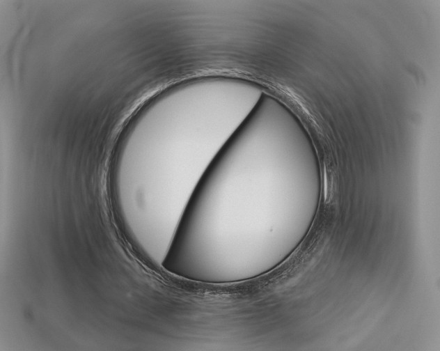 X0000113860531200909241027