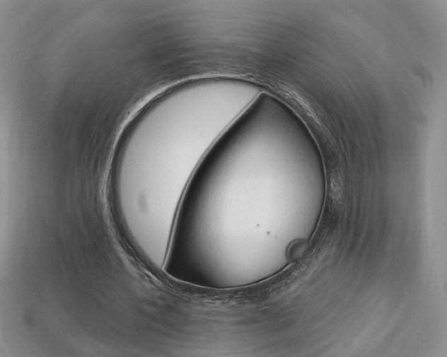 X0000113860532200909241027