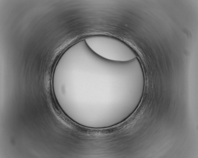 X0000113860533200909241027