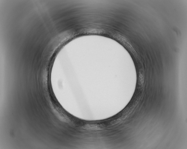 X0000113860534200909241027