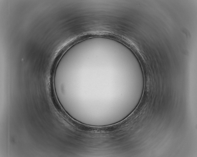 X0000113860535200909241027