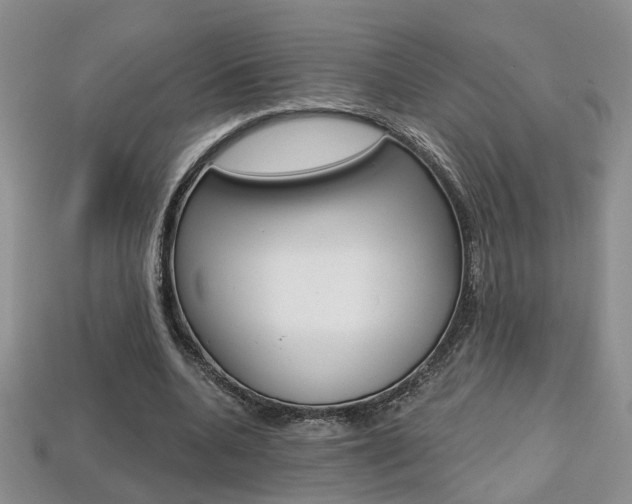 X0000113860536200909241027
