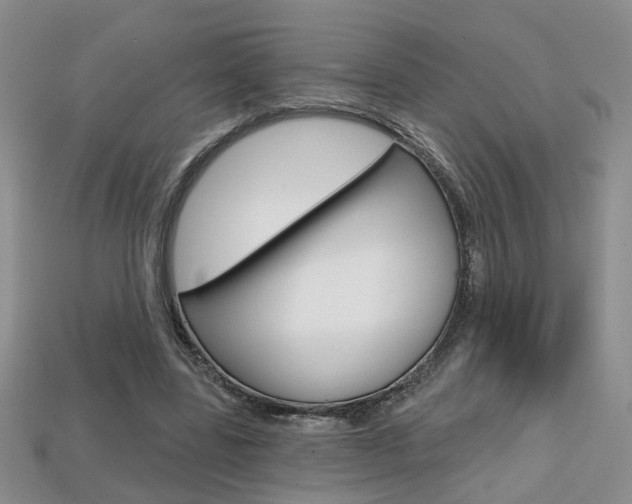 X0000113860539200909241027