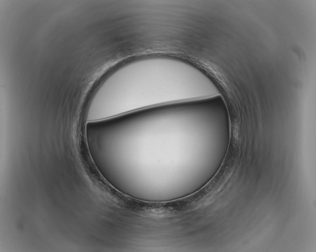 X0000113860540200909241027