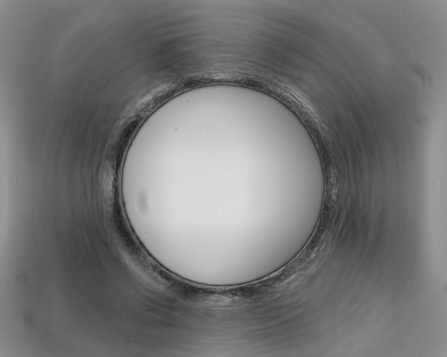 X0000113860542200909241027