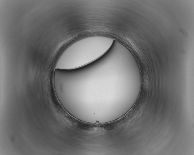 X0000113860543200909241027
