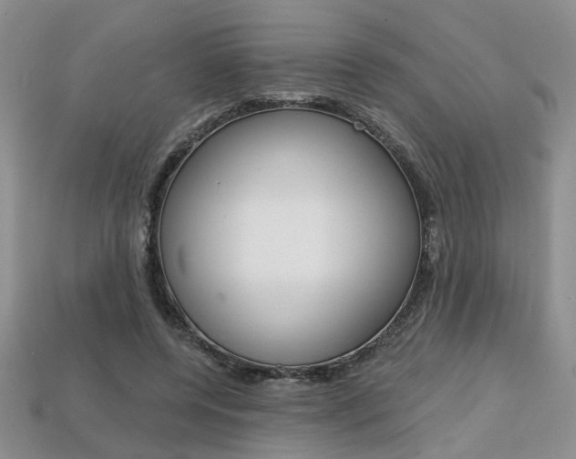 X0000113860544200909241027