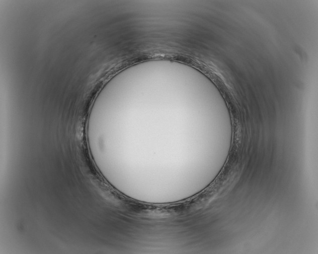 X0000113860545200909241027