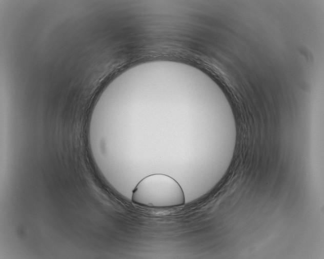 X0000113860546200909241027