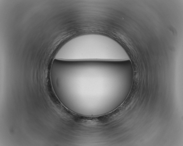 X0000113860548200909241027