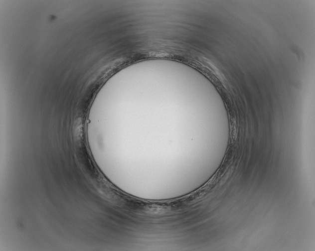 X0000113860549200909241027