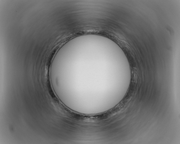 X0000113860550200909241027