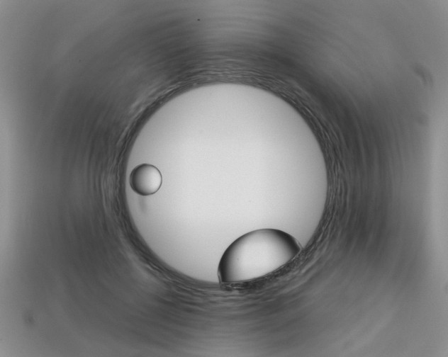 X0000113860552200909241027