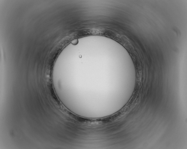 X0000113860553200909241027