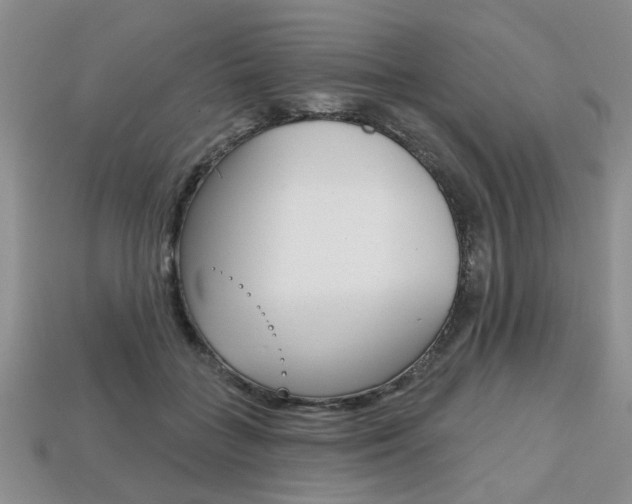 X0000113860555200909241028