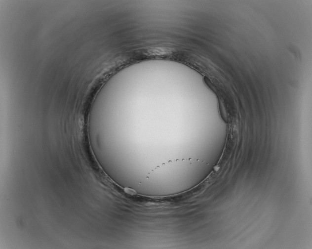 X0000113860556200909241028