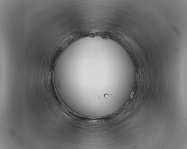 X0000113860558200909241028