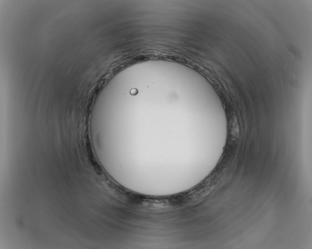 X0000113860559200909241028