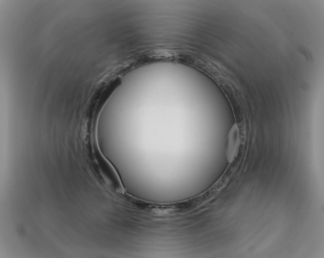 X0000113860560200909241028