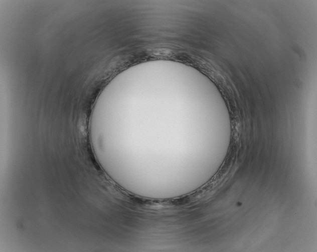 X0000113860561200909241028