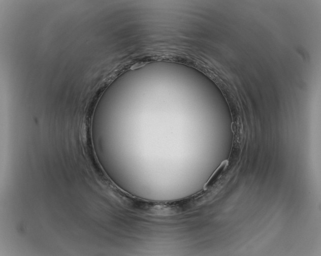 X0000113860562200909241028