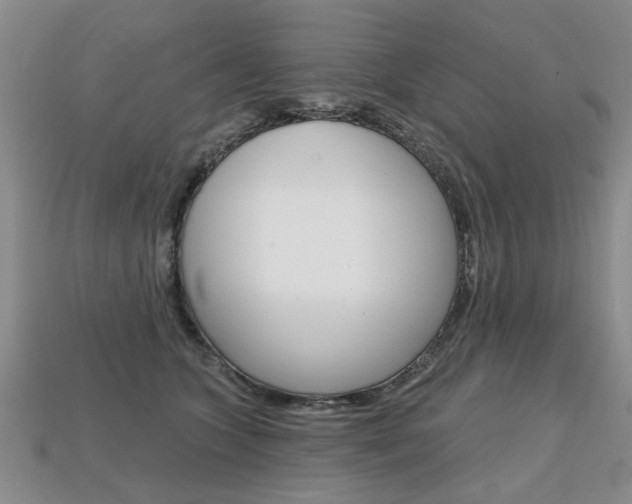 X0000113860563200909241028