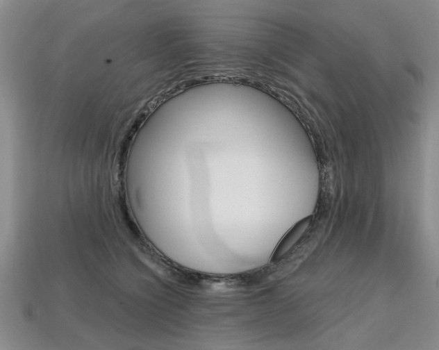 X0000113860564200909241028