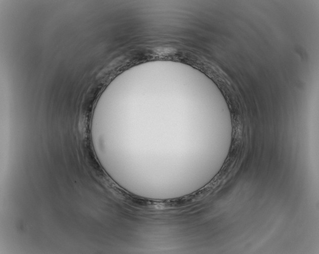 X0000113860565200909241028