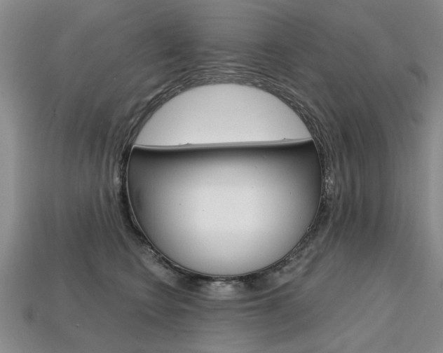 X0000113860566200909241028