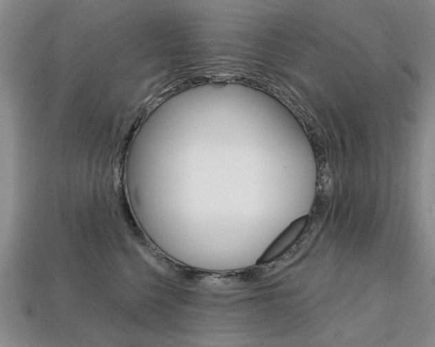 X0000113860568200909241028