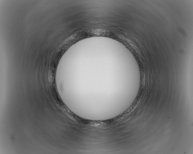 X0000113860569200909241028